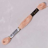 anchor muli̇ne - 00367