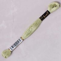 anchor muli̇ne - 00842