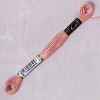 anchor muli̇ne - 01008