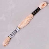 anchor muli̇ne - 01010